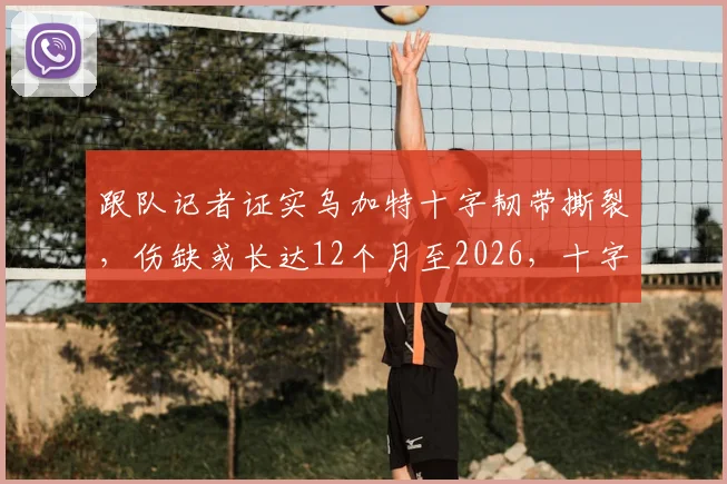 跟队记者证实乌加特十字韧带撕裂,伤缺或长达12个月至2026,十字韧带撕裂对足球运动员职业生涯影响深度剖析